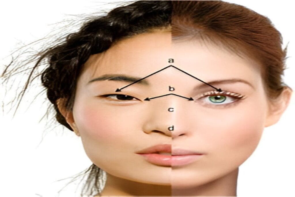 Mongoloid vs. Caucasoid Features: A Visual Comparison of Eye Shape and Facial Traits.