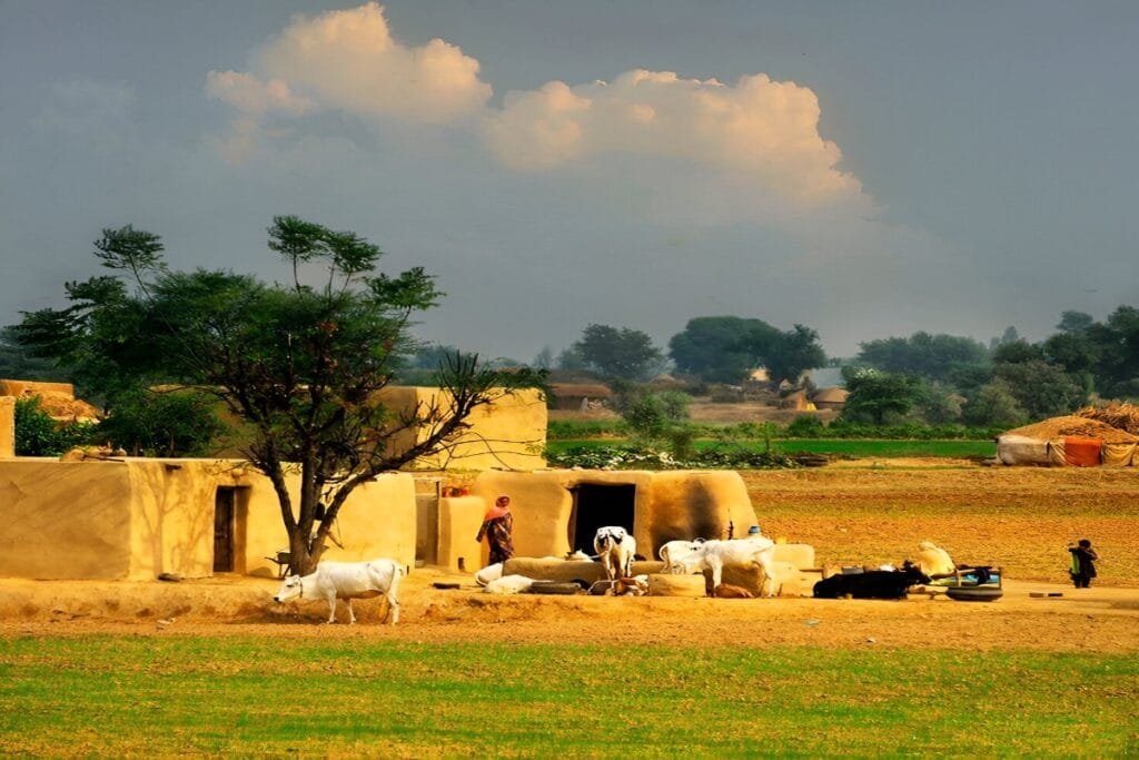 Sunset’s Warm Embrace Over the Tranquil Fields of Punjab.